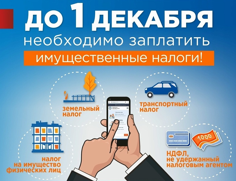Вовремя и без ошибок: успейте заплатить налоги до 1 декабря и разобраться во всех нюансах!